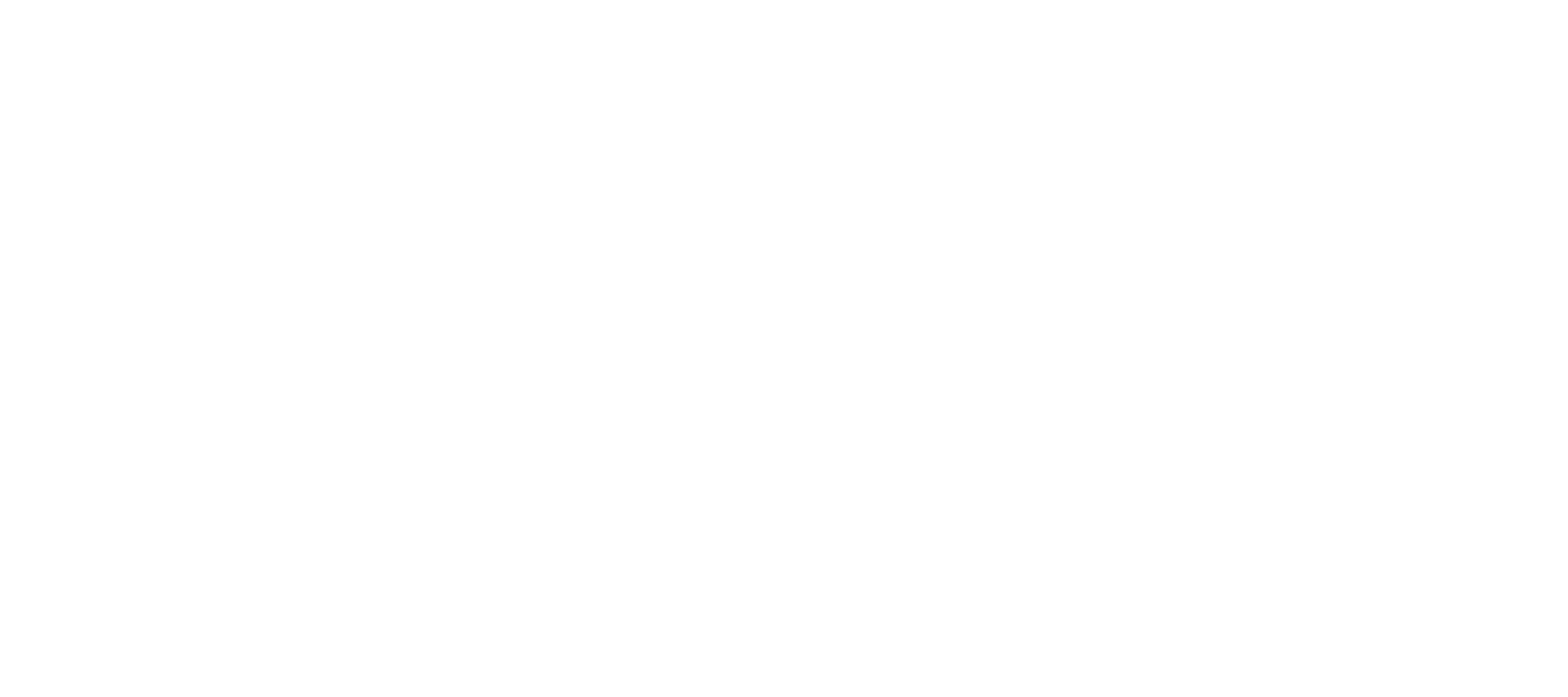 DPD Versandpartner